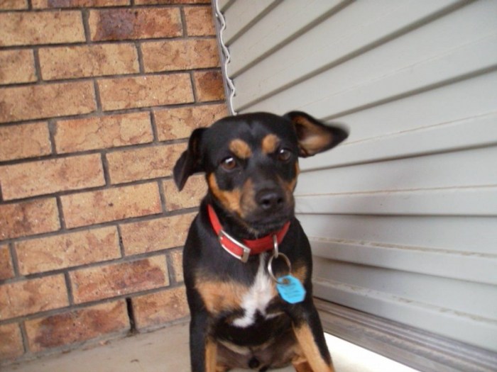 232323232-fp--4-nu=7458-969-24;-WSNRCG=3374-7;48333-nu0mrj