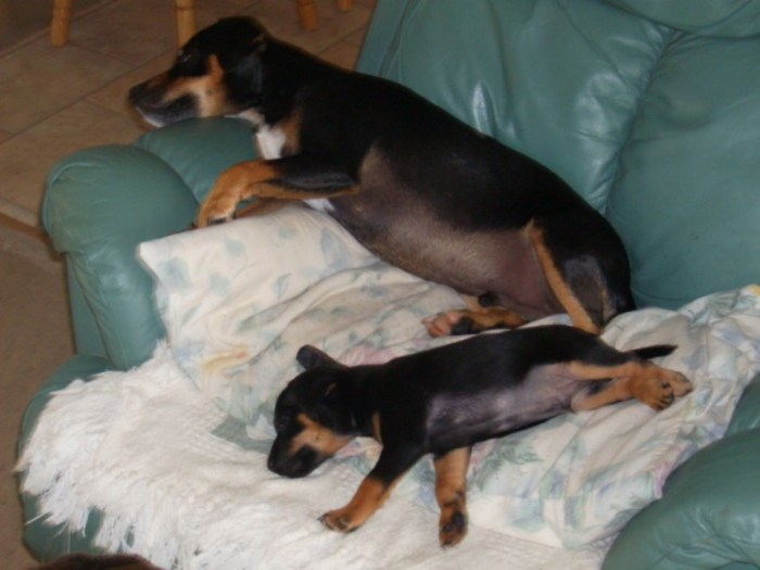 232323232-fp;48-nu=355--3-9-;-2-264;3-9-;324;ot1lsi