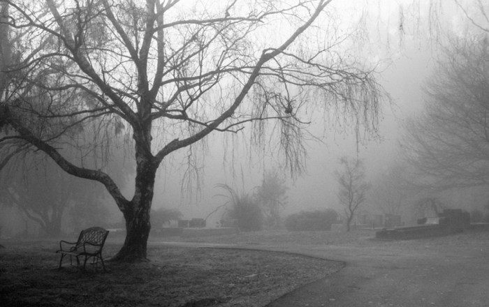 20120720091454_7399832056_cf984202ce_b2