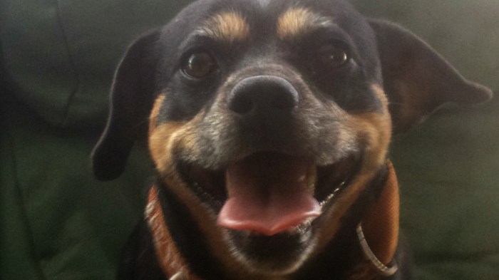 20141028_112815 (Copy)