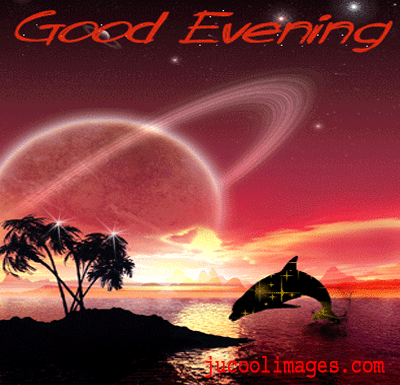 Good-Evening-Wishes-Dolphin-Graphic