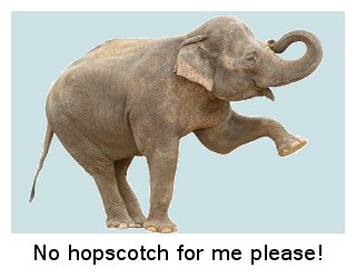 320-104776004-elephant