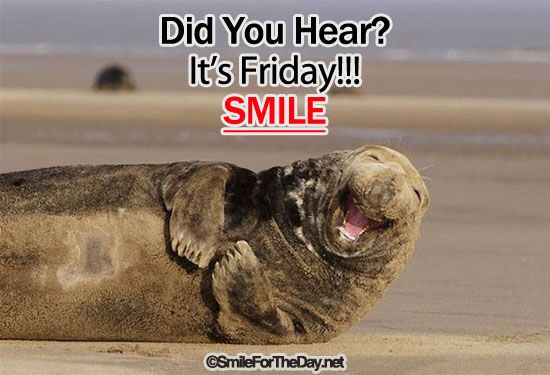 991329747d2efb647fc9d64c80bc20aa